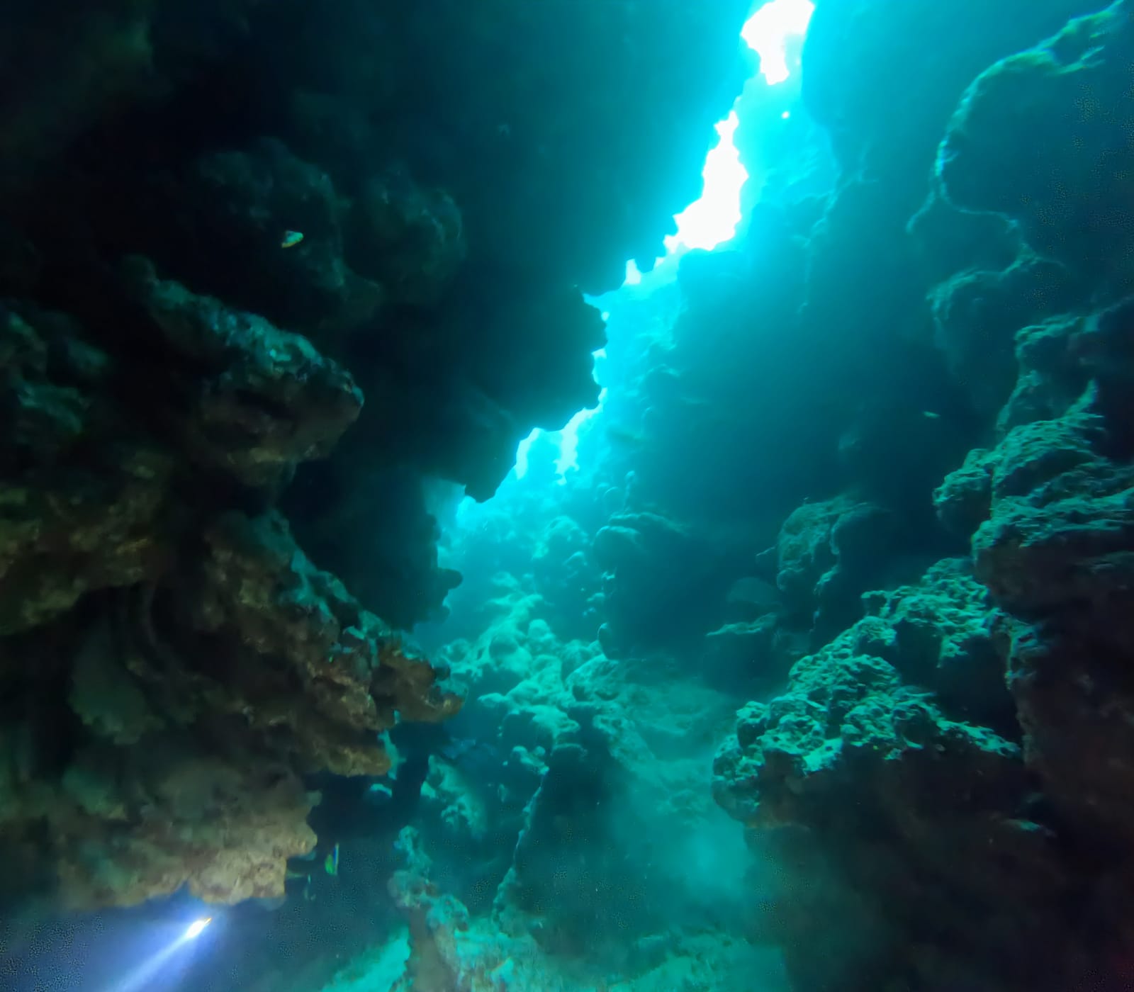 Курс Deep Diver — обучение дайвингу
